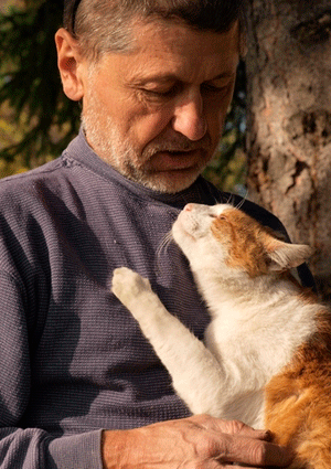 Cat Loving Her Human